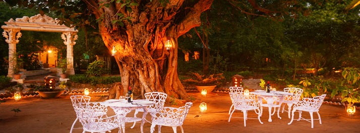 2170/Syna Tiger Resort - Bandhavgarh 05.jpg